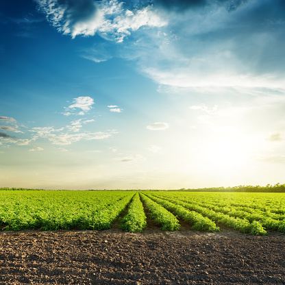 Agricultural Land 